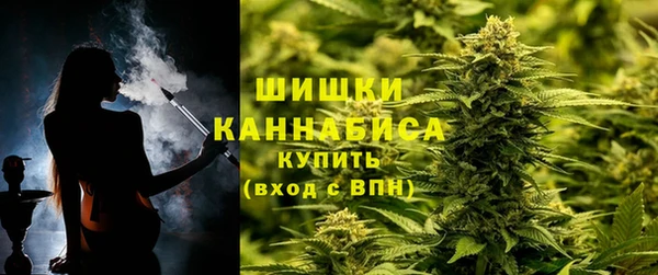 гашик Краснослободск