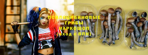 spice Кулебаки