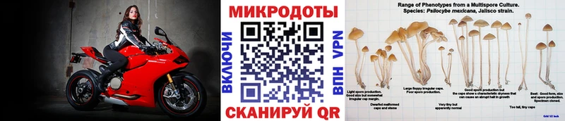 shop формула  гидра tor  Кулебаки  Псилоцибиновые грибы Cubensis 