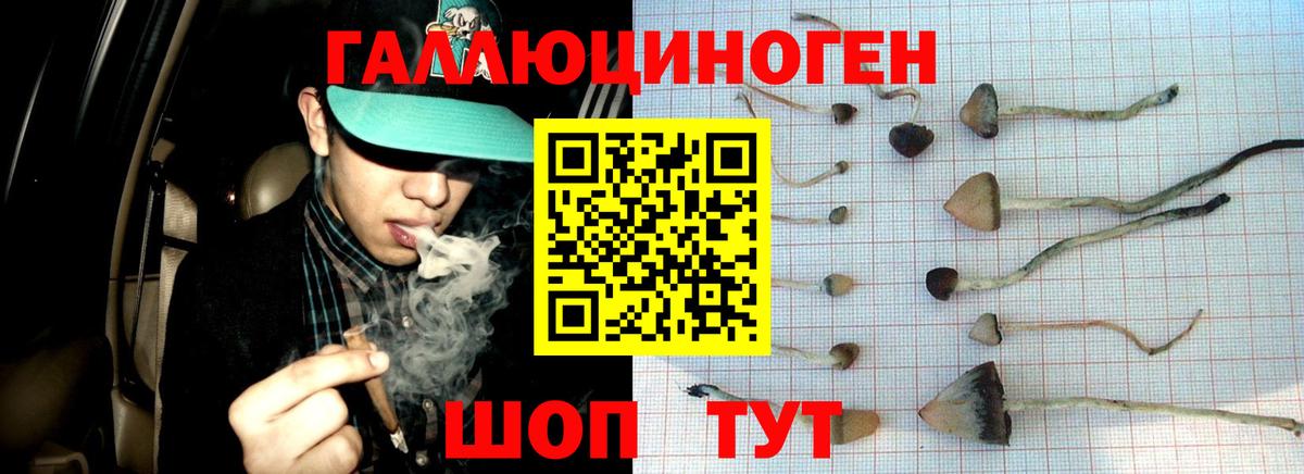 Псилоцибиновые грибы прущие грибы  Вход с VPN  Кулебаки  Псилоцибиновые грибы GOLDEN TEACHER 