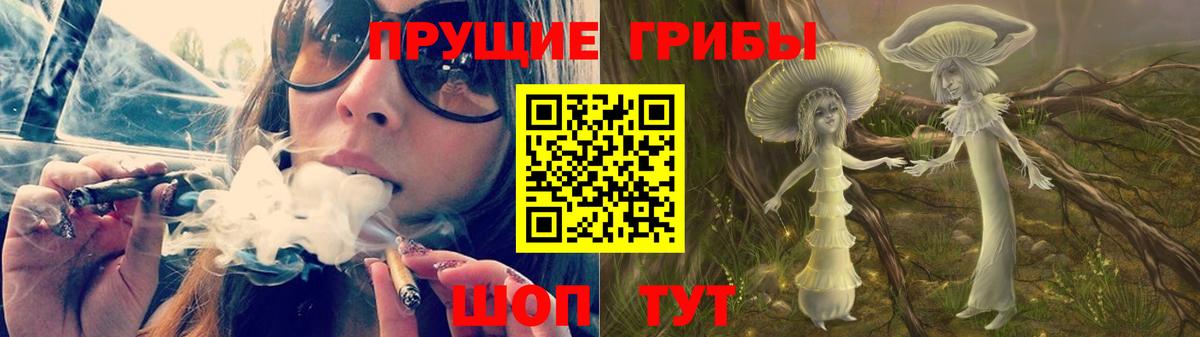 Псилоцибиновые грибы Cubensis Кулебаки